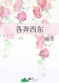 探索知识星球平台-青菜心的做法大全?